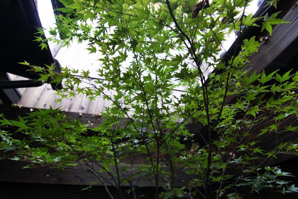 Anzu An Machiya House Villa Kyoto Rum bild